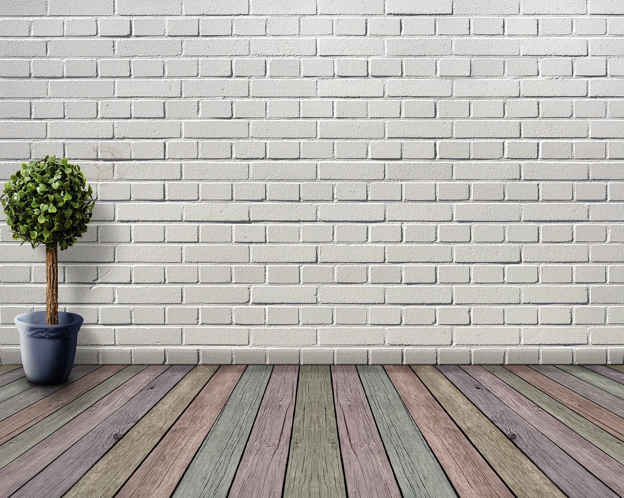 space, empty, wooden floor, plant, plant pot, boxwood, deco, houseplant, white, inner space, nature, wooden floorboards, coloured, wall, room, stone wall, architecture, living room, floor, inside, brick wall